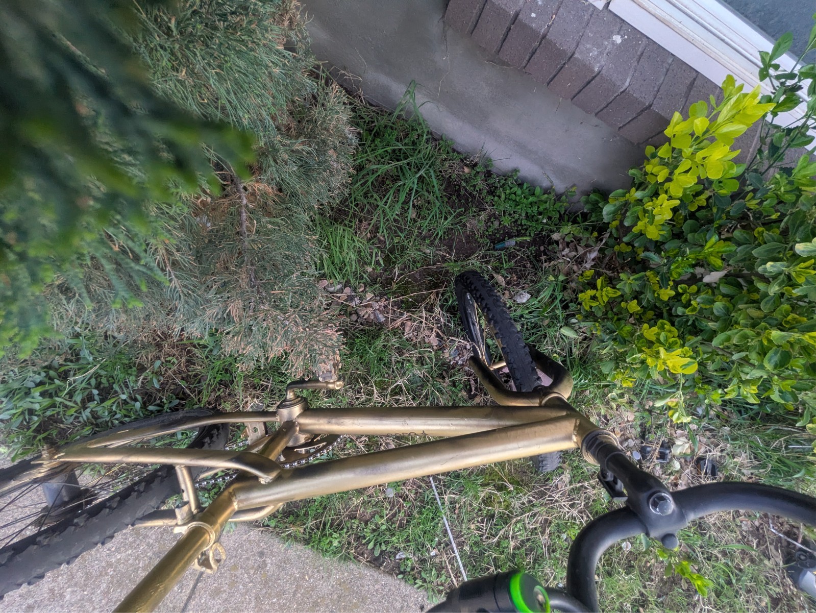 mountain bike it is used but u can fix it just needs a new chain and it will wor
