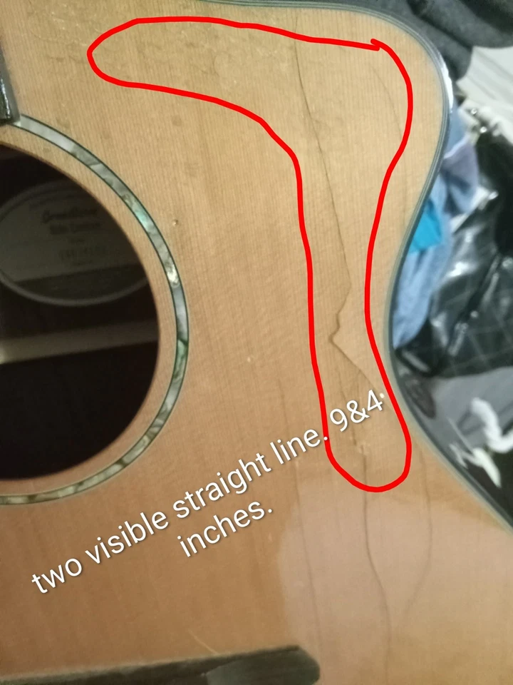 Breedlove Solo Concert Guitor модель 14078131. - Изображение 2 из 4