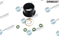 Dr.Motor Automotive DRM0267 Dichtungssatz FüR EinspritzdüSe FüR Fiat