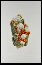 Fred Wilda - Grossular Garnet - Vermont - Limited Edition Mineral Art Print