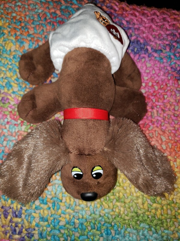 Pound Puppies Newborns Brown Dog Plush 2022 Hasbro w/diaper Excellent Pre owned 