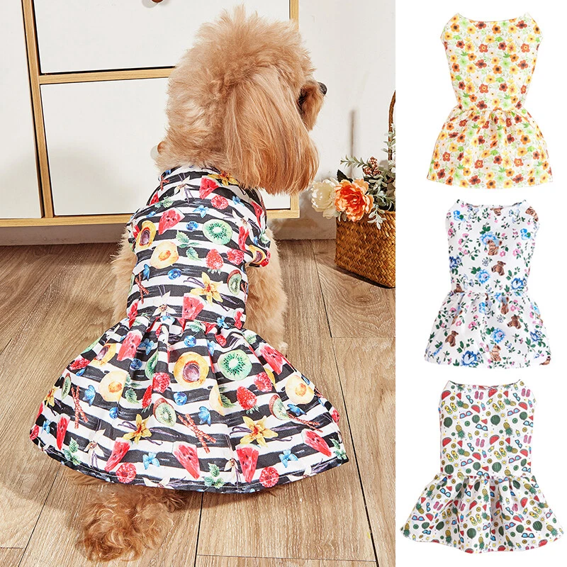 Robe pour 2025 chien