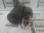 Bild 3 von 9