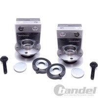 2X Esen Skv RADLAGER-SATZ Hinten Passend FÜR Audi A6 A7 Q5 Links+Rechts |