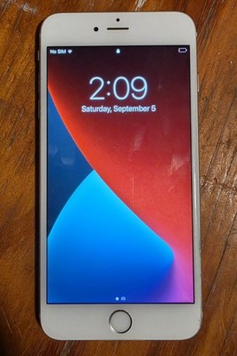 Apple iPhone 6s Plus - 16 GB - Space Gray (Unlocked)