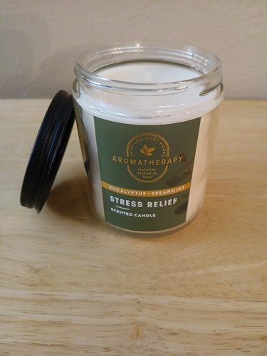 Eucalyptus + Spearmint Aromatherapy Stress Relief Single Wick Candle BBW