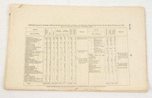 Rare New Zealand POLICE 1873 Report Armed Constabulary Force with list of crimes - Picture 6 of 6