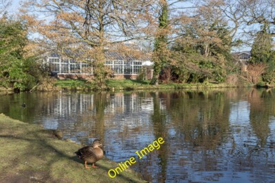 Foto 6x4 Lake, Broomfield Park, Palmers Green, London N13 Frier Barnet c2014