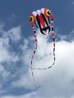 Huge 3D 7Sqm 1 Line Stunt Parafoil Trilobites POWER Sport Kite outdoor toys A