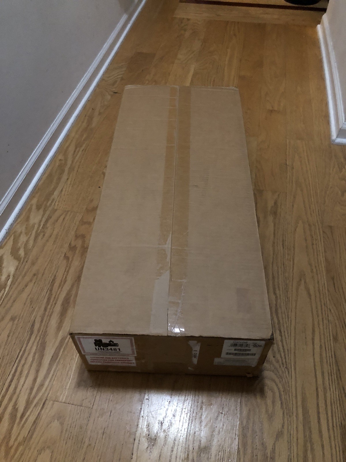 David Everywhere Cordless Upright Vacuum Cleaner NEW IN BOX! (Riccar Supralite)