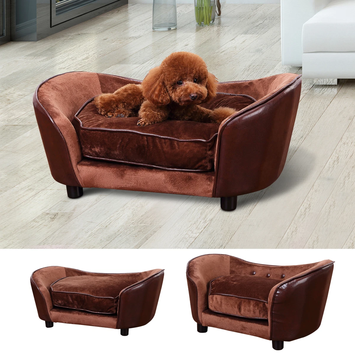 Cat top sized couch