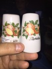 Florida Salt And Pepper Shaker Set Made In Japan — photo 1