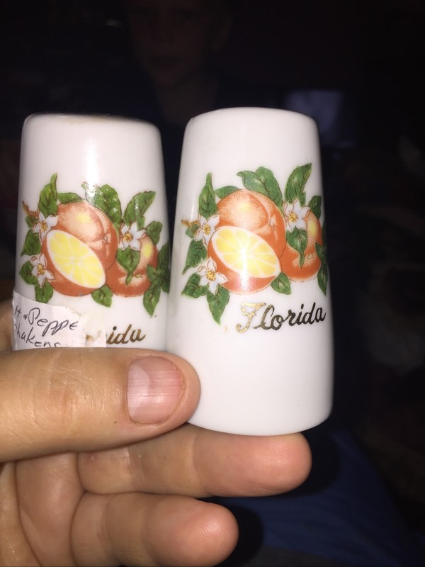 Florida Salt And Pepper Shaker Set Made In Japan
