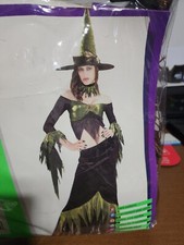 XX 88055 Wicked Witch Dress Woman Costume By Rubies