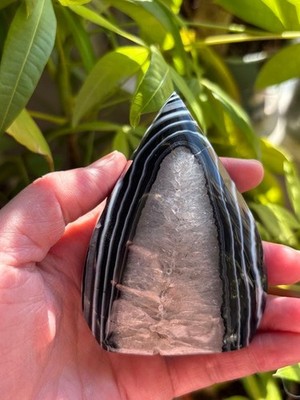 Natural Whetstone Black Agate Geode with Rainbow 6x8cm Decorative Stone