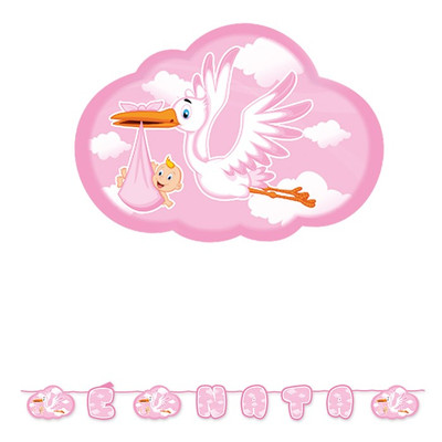 Nascita Bambina Festa Benvenuta Maxi Festone Cicogna Nuvola E Nata Mt 6 Ebay