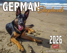 2026 German Shepherds Wall Calendar 16-Month X-Large Size 14x22 | FREE SHIPPING