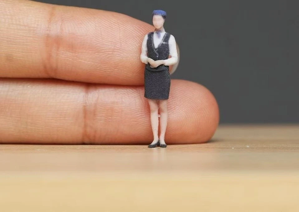 Figura pintada ZD 1:64 modelo ature resina diorama arena cabina tripulación asistente de mosca Foto 2 de 4