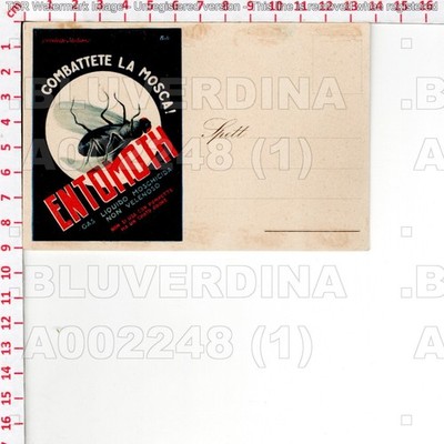 A2248 ADVERTISEMENT 1930 MILAN INSECTICIDE CITY ENTOMOTH SIC EST ANONYMOUS CHEMICAL
