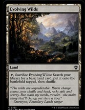 Evolving Wilds #302 MTG Bloomburrow NM X4