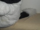 Foto 15 di 24