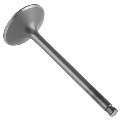 Exhaust Valve for Kawasaki Bayou 220 KLF220A 1988-2002