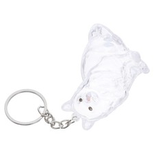 Pet Hair Keepsake Keychain Clear Storage Box Memorial Bottle Cat