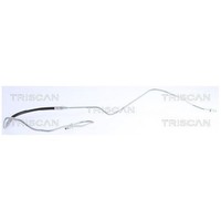 Bremsschlauch Hinten Links FüR Peugeot 5008 0E 0U 09 Bis 17 Triscan 9HD RHH