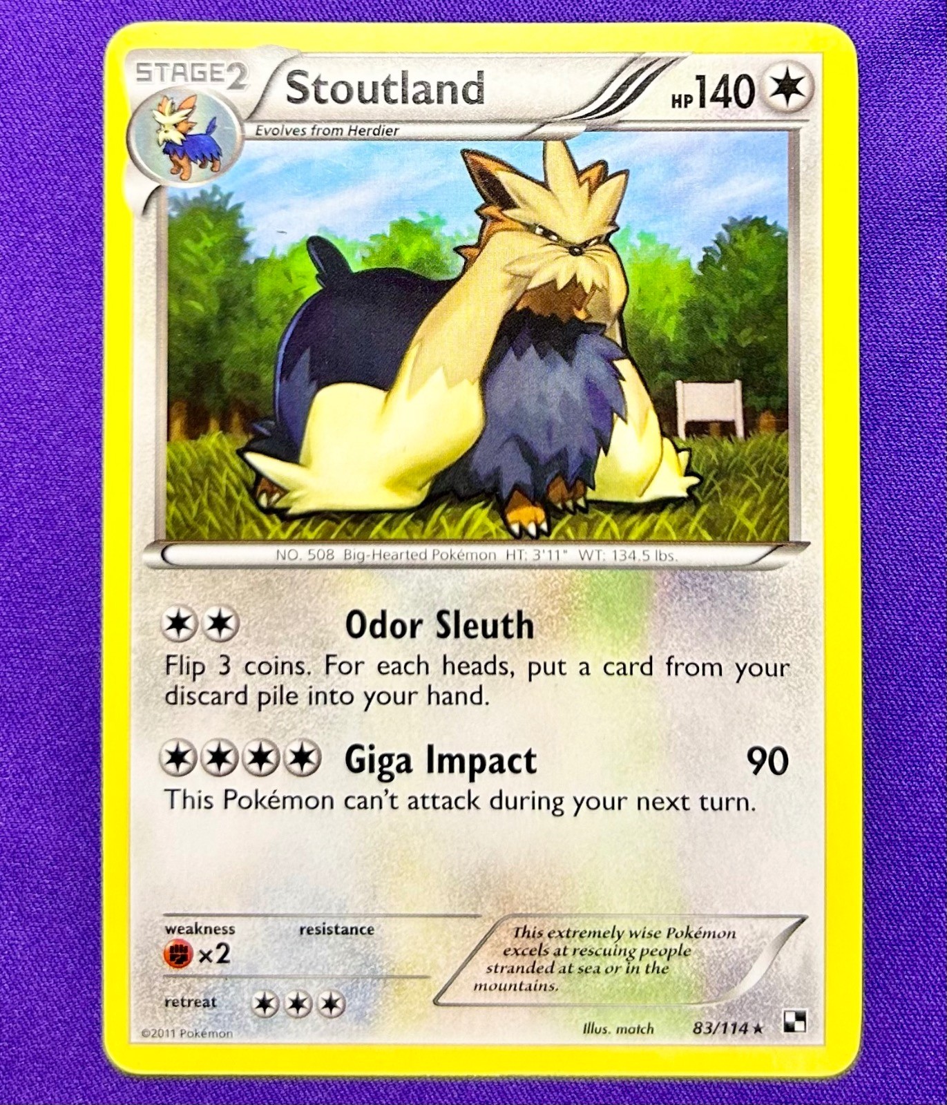 Stoutland 83/114 Non Holo | Black & White Base Set | 2011 Pokemon TCG Card | NM