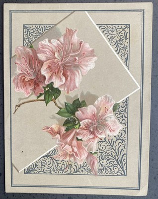 1880s Willett's Favorite Coffee Trade Card 4x6-1/2 Inches Philadelphia- Azaleas