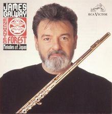 Enchanted Forest:Melodies of.. von Galway,James | CD | Zustand gut