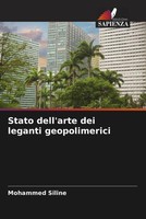Mohammed Siline | Stato Dell'arte Dei Leganti Geopolimerici | Taschenbuch (2023)