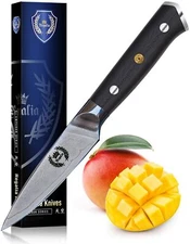 Paring Knife 3.5 inch: Japanese AUS10 Super Steel 67 Layer High Carbon Stainless