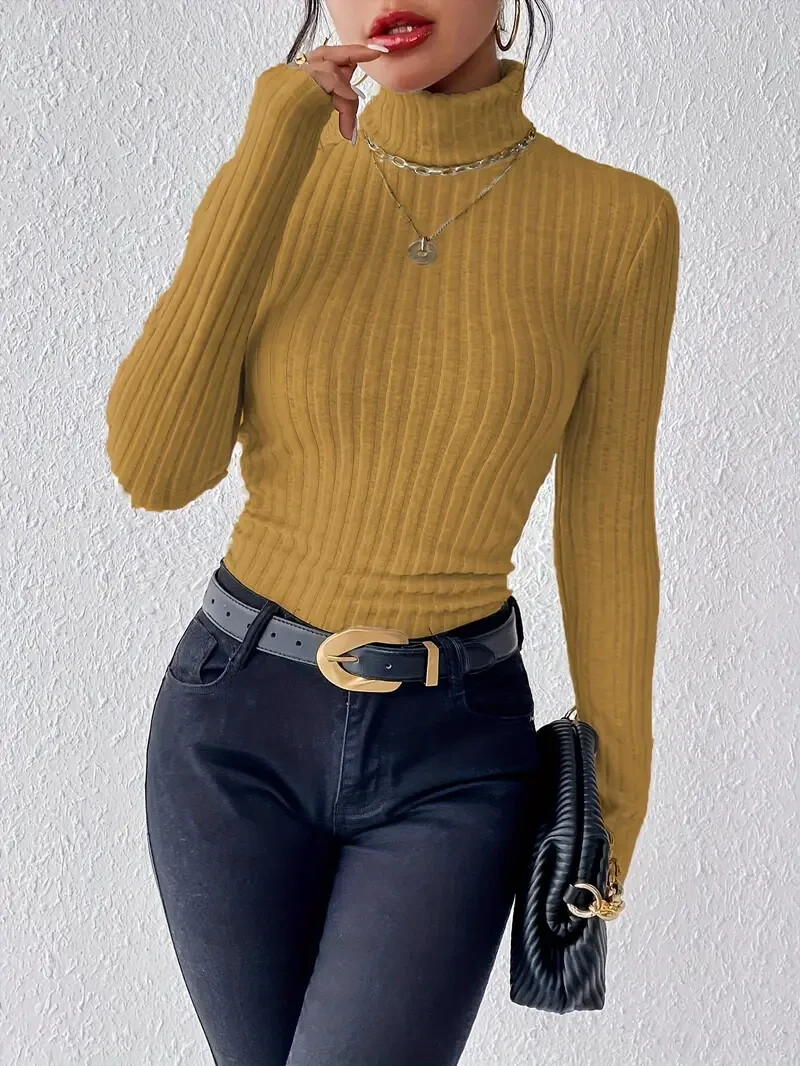 Turtle Neck Slim Sweater, Elegant Solid Color Long Sleeve