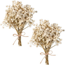 Dried Baby'S Breath Bouquet, Pure White 6"-7.8" Portable Mini Gypsophila Flowers