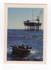 Nabisco, Australia 1972 - The Good Oil #13 Seals near the Halibut Platform