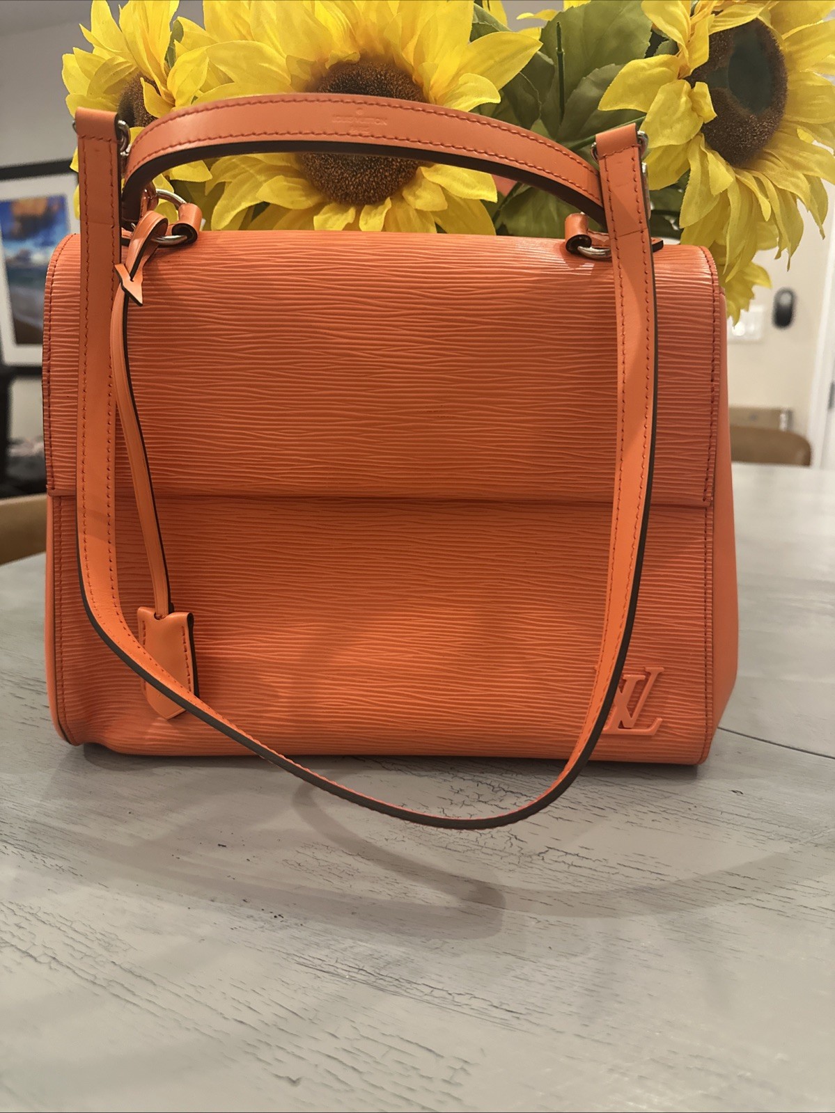 Louis Vuitton Epi Leather Orange Clooney MM 2WAY