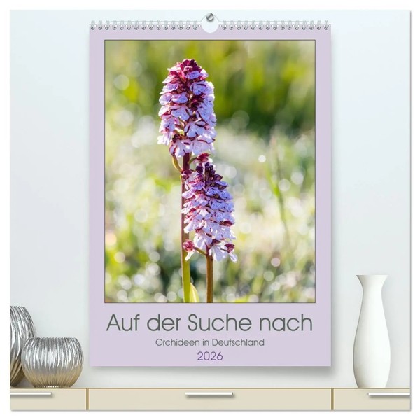 Auf Der Suche Nach Orchideen In Deutschland (Hochwertiger Premium...-image