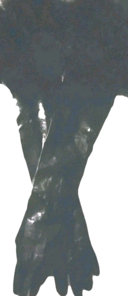 22" Black Kid Leather Gloves. 4" Black mink cuff Opera!7.5 Mint! 3 Button Wrist6 - Image 4 of 4