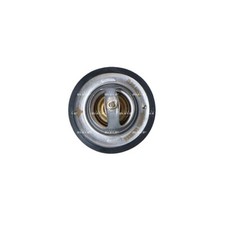 Thermostat Fiat 131