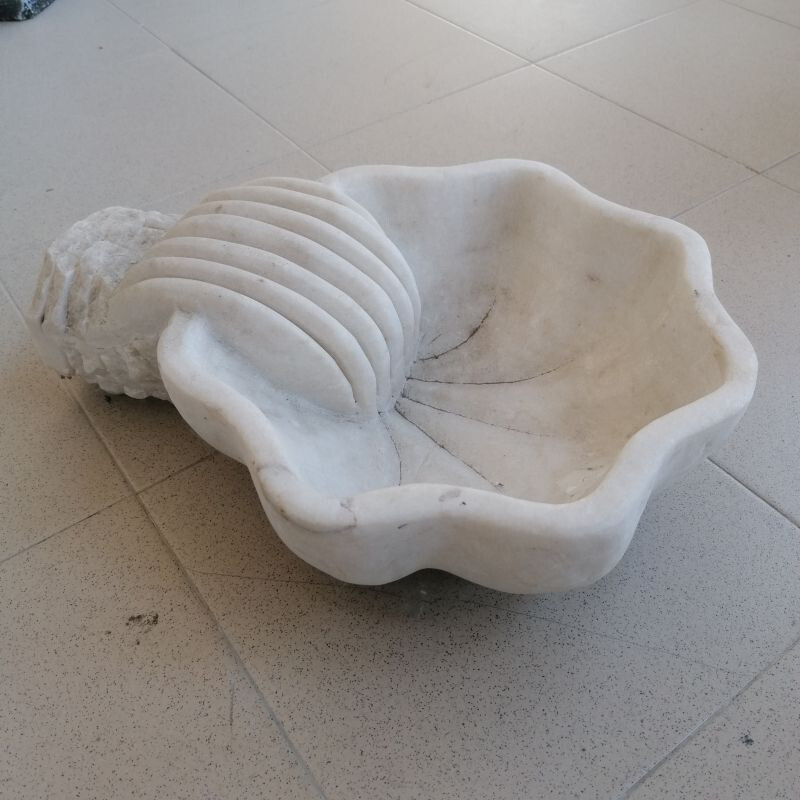 Foto 1 di 6