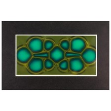 Magnetic Viewing Film, 2inchx 4inch Magnetic Field Viewer for Scientific3728