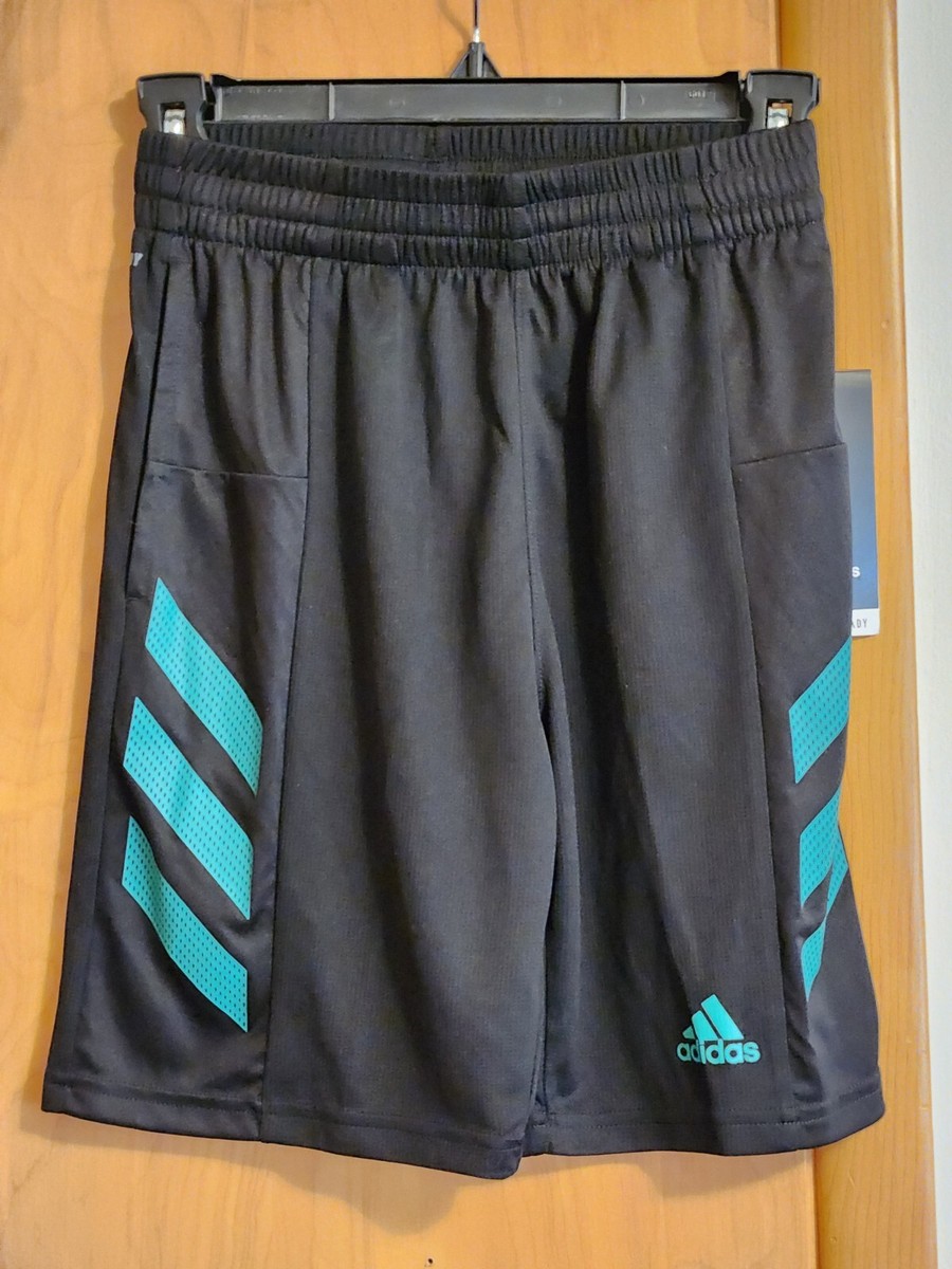 Adidas Boys Black and Green AEROREADY Athletic Shorts Size M (10
