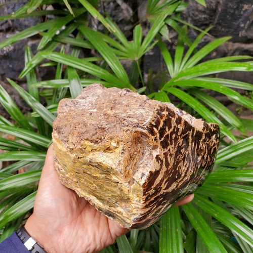 Genuine 1,1 Kg Raw Amber Zebra Motif Indonesia Specimen Rough Certificate - Picture 12 of 12