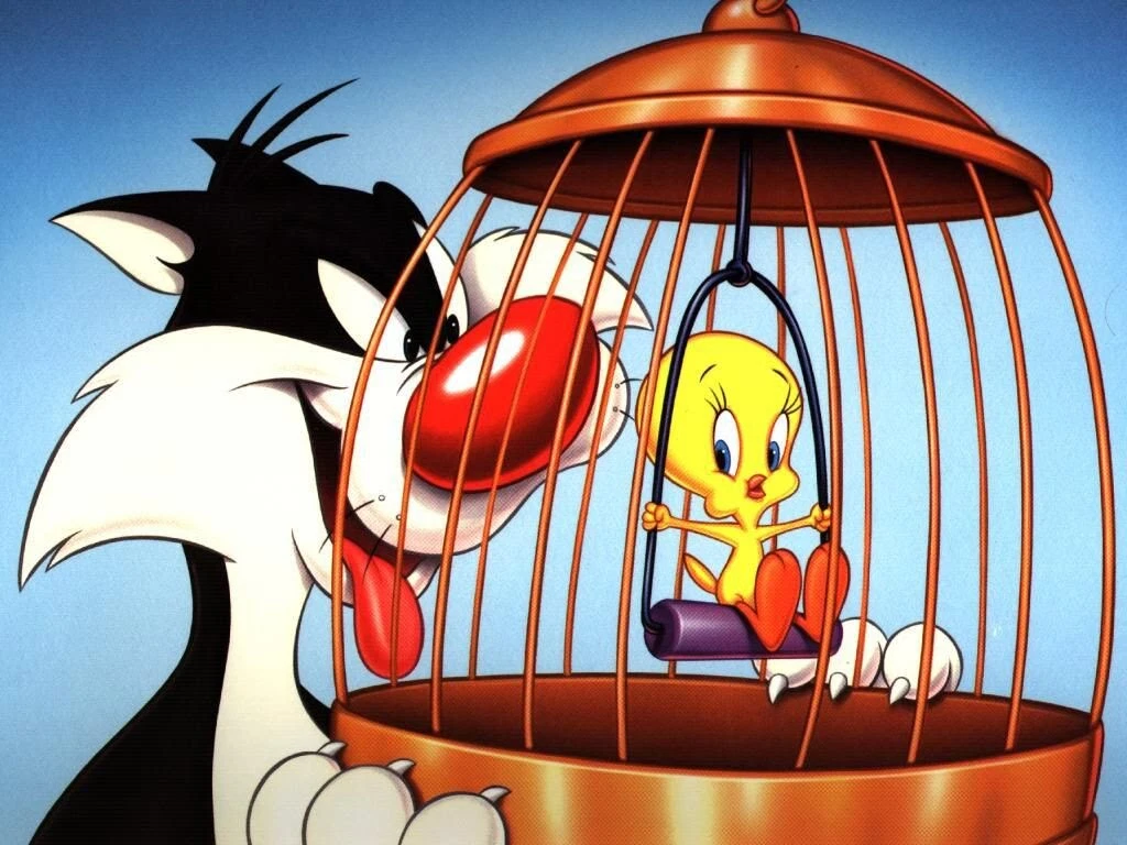 Tweety Bird and Sylvester Vintage Cartoons 8x10 Print