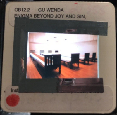 Gu Wenda  Enigma Beyond Joy'' Chinese Modern Art 35mm Slide