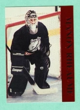 (1) MANON RHEAUME TAMPA BAY GOALIE PROMOTIONAL RED BORDER NM-MT CARD  (K4955)