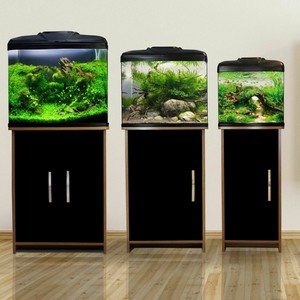 aqua one tank