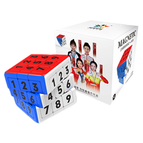 YuXin Sliding Sudoku + 3x3 Magnetic Magic Cube Puzzle 