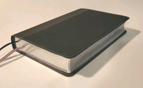 NIV persönliche Größe Studienbibel weiches Leder - tolle Form * siehe Beschreibung